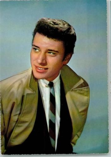 Johnny Hallyday Rock / Pop