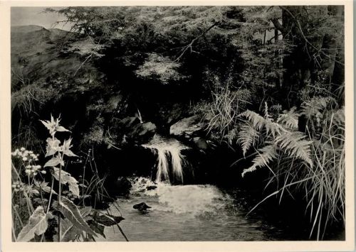 HDK Nr. 397 Photo Hoffmann sign Kriegel "Die Quelle