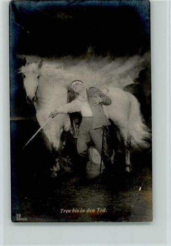 Treu bis in den Tod - das Pferd WK I Foto AK gefallener Soldat