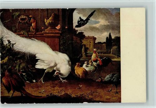 Der weiße Pfau - Gemälde