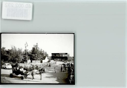 25845 W2251 Nordstrand FOTO KEINE AK Pferdekutsche California