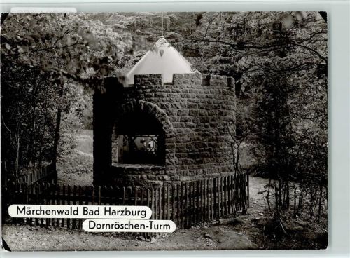 W3388 Bad Harzburg Märchenwald Dornröschen-Turm Dornröschen FOTO KEINE AK
