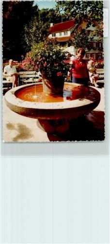 Bad Peterstal-Griesbach Brunnen