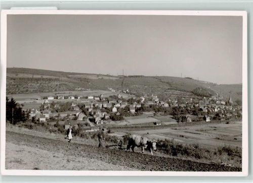 57555 W5245 Mudersbach , Sieg FOTO KEINE AK Bauer Kuh