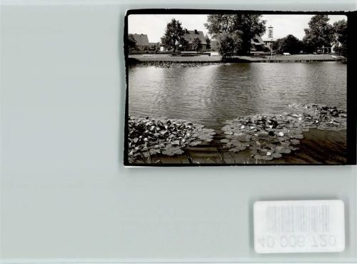 W2350 Neumünster , Holst Seerosen Teich Seerose FOTO KEINE AK