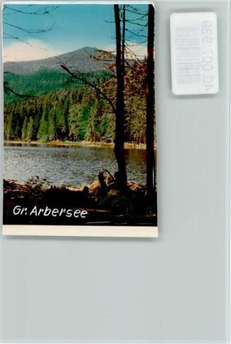 94252 W8371 Arberhütte FOTO KEINE AK Großer Arbersee