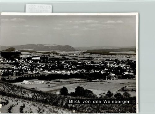 54516 W5560 Wittlich FOTO KEINE AK Blick von den Weinbergen