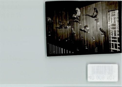 93470 W8491 Sommerau FOTO KEINE AK Haus Panorama Innenaufnahme Vögel