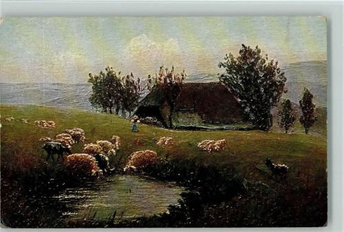 Schwarzwaldhaus mit Schafherde