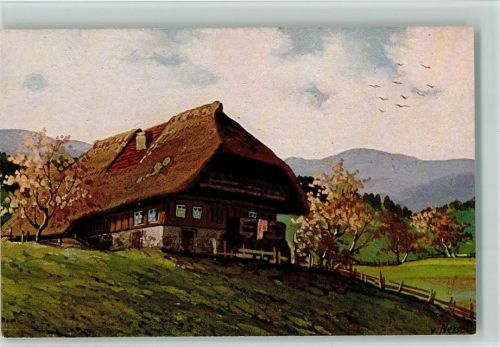Schwarzwaldhäuser , Moos Serie VI Nr. 13 AK Nessel