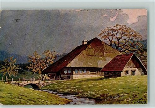 Schwarzwaldhäuser , Moos Serie VI Nr. 16 AK Nessel