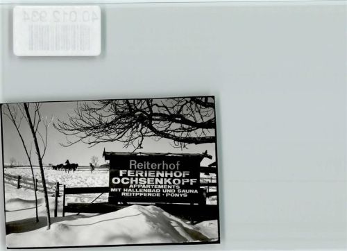 87547 W8979 Aigis , Allgäu FOTO KEINE AK Reiterhof Ferienhof Ochsenkopf Schild Winter Pferde