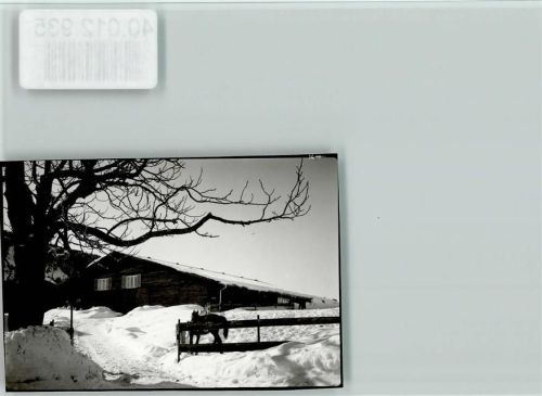 87547 W8979 Aigis , Allgäu FOTO KEINE AK Ochsenkopf Winter Koppel mit Pferd