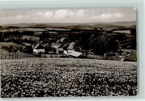 Wildewiese Gasthof Pension Franz Steinberg