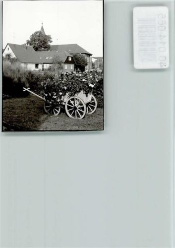 27336 W2818 Rethem (Aller) FOTO KEINE AK bepflanzter Bollerwagen