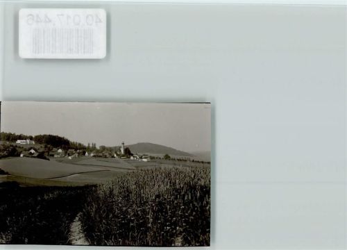 86473 W8907 Maria Vesperbild FOTO KEINE AK Tannhausen