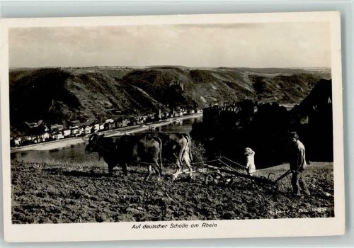 auf deutscher Scholle Rinderpflug Photo F. G. Zeitz Landwirtschaft Maschine