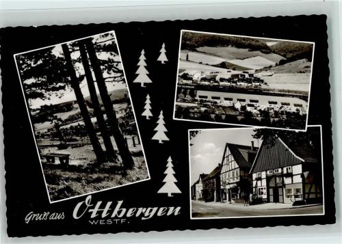 Ottbergen Tannenbäume 3-Bild-Aufnahme