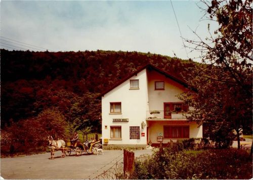 Dexbach Gaststätte Pension Zur grünen Au Pferdekutsche