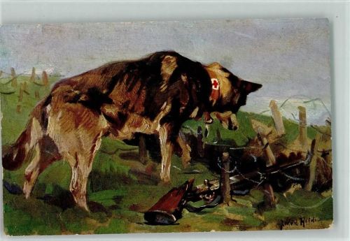 Der Sanitätshund im Felde Nr. 9 AK Rotes Kreuz - in einer Wolfsgrube einen Verwundeten entdeckt Sanitätshund Künstlerkarte