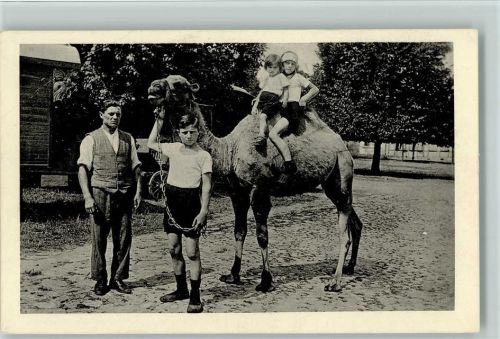 Kinder reiten auf einem Kamel - Zirkus? Kamel