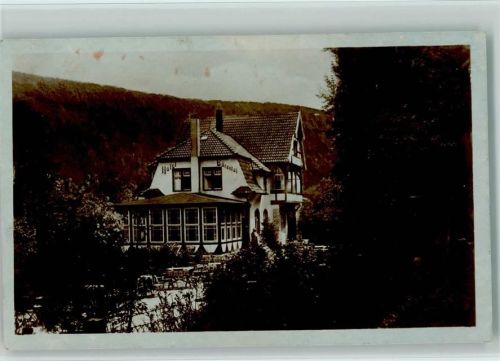 33189 W4797 Kohlstädt - Hotel u. Sommerfrische Bärenthal , ex Sammlung Busse