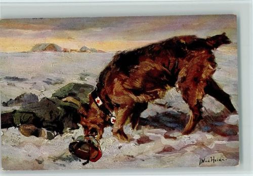 Der Sanitätshund im Felde Nr. 10 - WK I im Schneefeld einen Verwundeten gefunden Sanitätshund
