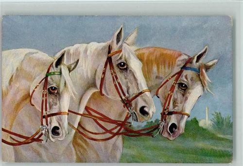 Stempel : Pardubice Zavodiste Steeple Chase 1936 AK Pferdeköpfe