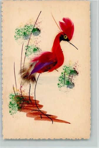 Paradiesvogel echte Federn 1953 Collage KEINE AK