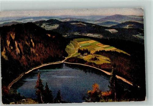 Schwarzwald - Feldsee 1925 AK Moralt, W. Künstlerkarte