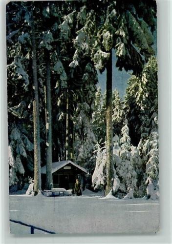 Winter im Schwarzwald 1913 AK Hütte - Erste Schwarzwälder Postkarten-Zentrale Freudenstadt Nr. 1596 AK