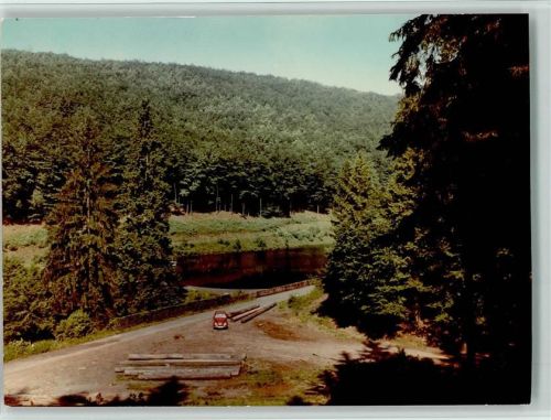 Steina Wald VW-Käfer
