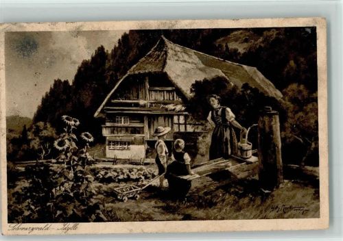 Schwarzwaldhaus, Bauernhaus ,Brunnen Moralt, W. Künstlerkarte
