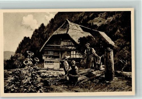 Schwarzwaldhaus, Bauernhaus , Brunnen