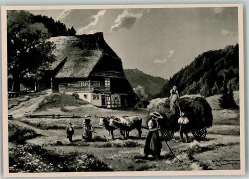 Heuernte , Schwarzwaldhaus , Landwirtschaft
