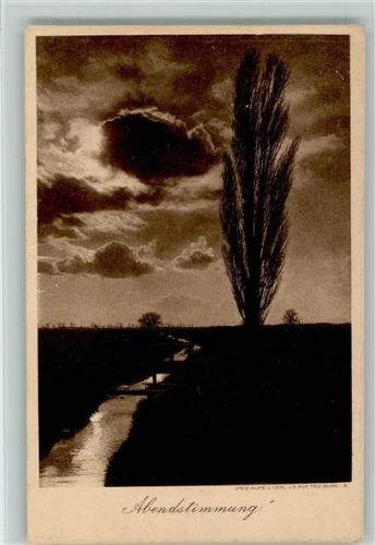 Abendstimmung 1900 AK Schwarzwald