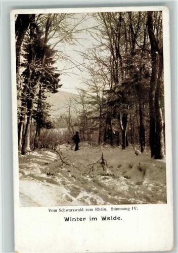 Winter im Walde - Stimmung IV - 1900 AK Schwarzwald