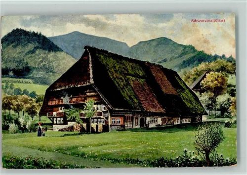 Altes Schwarzwaldbauernhaus 1916 AK
