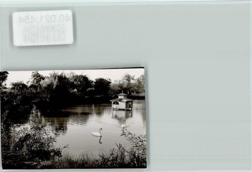 37699 W3476 Fürstenberg , Weser FOTO KEINE AK Teich Schwan
