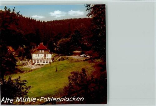 Fohlenplacken Alte Mühle