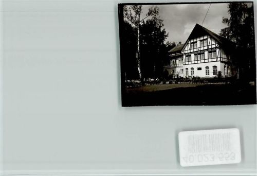 Mellendorf Birke vor Fachwerkhaus