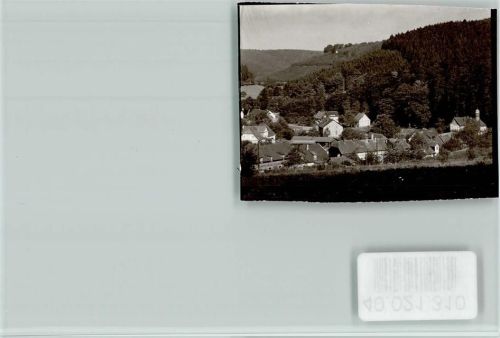 Fohlenplacken