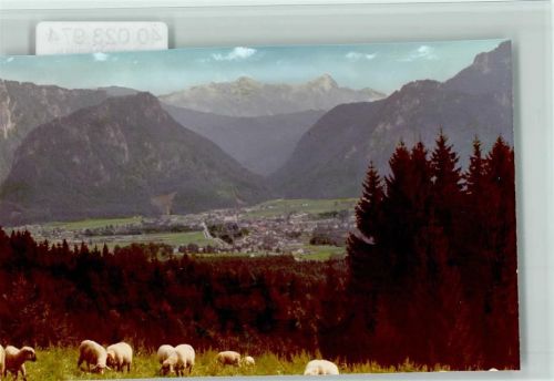 83317 W8221 Hammer FOTO KEINE AK Schafe