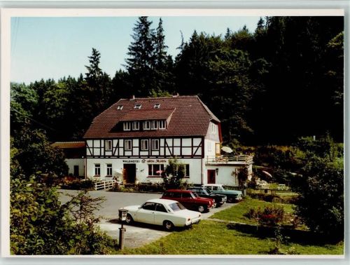 Fohlenplacken Waldhotel Alte Mühle