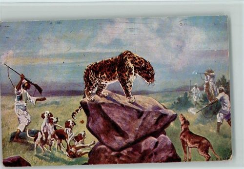 Afrikaner jagen mit Jagdhunden einen Leoparden 1914 AK