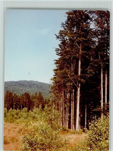 93485 W8491 Rimbach , Oberpf FOTO KEINE AK Hoher Bogen-Sender