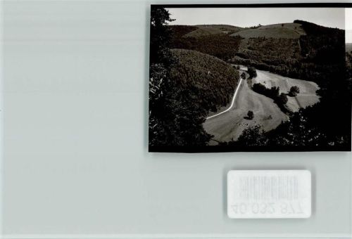 35104 W3540 Dalwigksthal , Waldeck FOTO KEINE AK Blick ins Obertal
