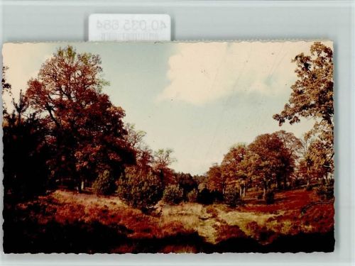 29473 W3139 Göhrde FOTO KEINE AK Partie in der Heide