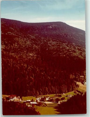 Zwieslerwaldhaus Luftaufnahme