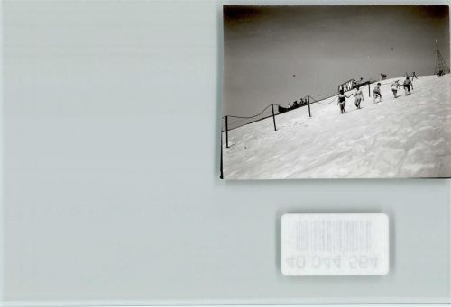 Hirschau Sommerskiing